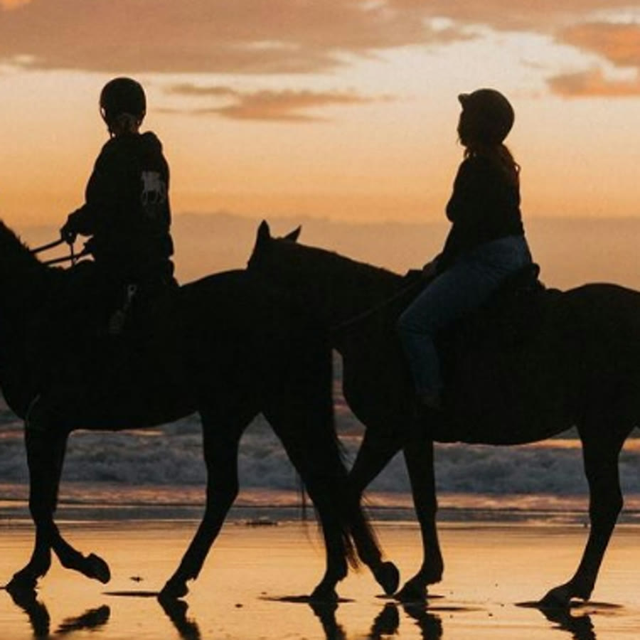 Zephyr Horses, Beach and forest